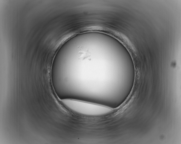 X0000099931225200805230952