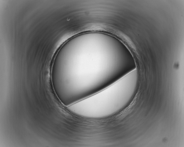 X0000099931226200805230952