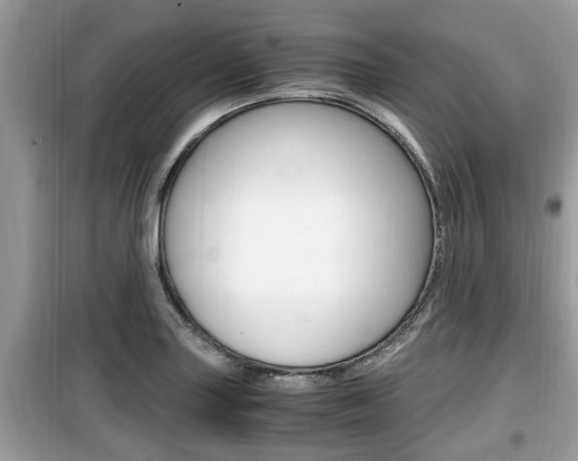 X0000099931227200805230952