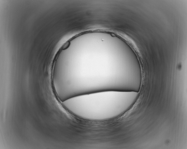 X0000099931231200805230952