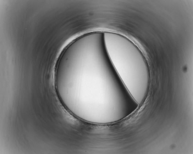 X0000099931238200805230952