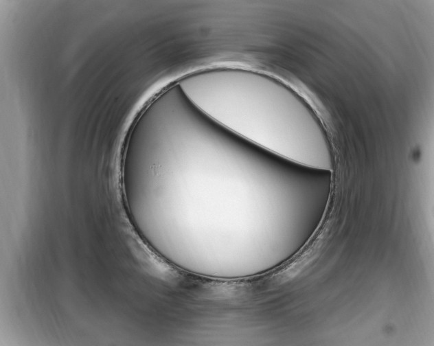 X0000099931240200805230952