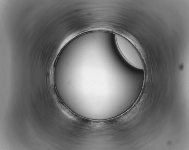 X0000099931242200805230952