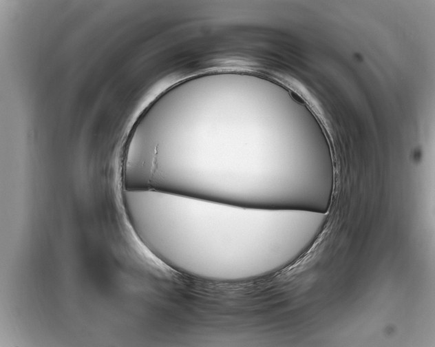 X0000099931243200805230952