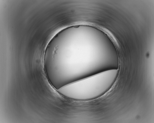 X0000099931244200805230952
