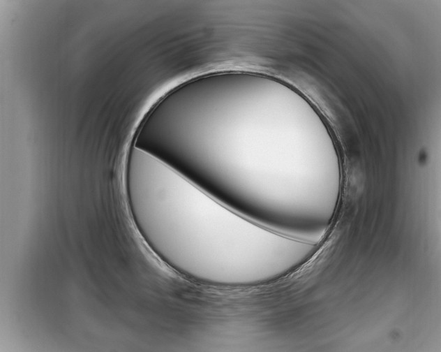X0000099931246200805230953