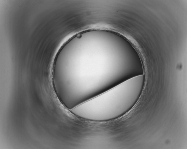 X0000099931248200805230953