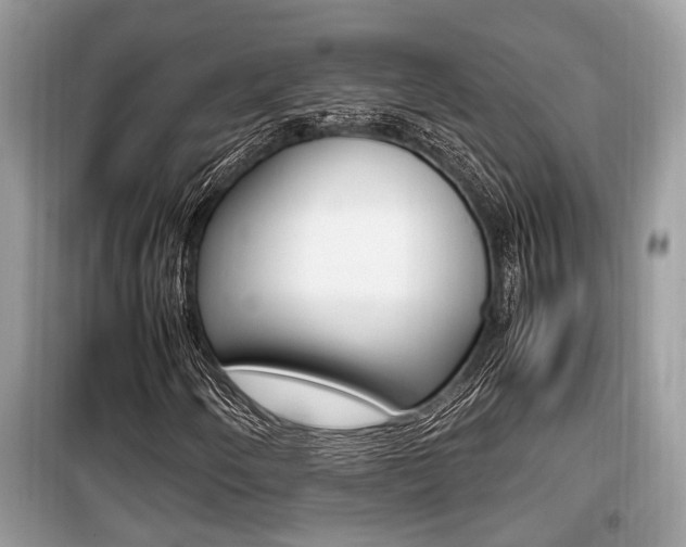 X0000099931250200805230952