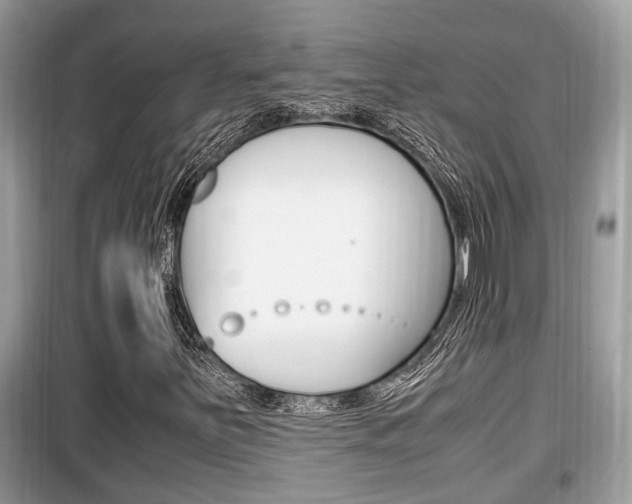 X0000099931251200805230952