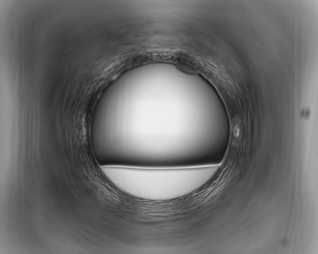 X0000099931252200805230952