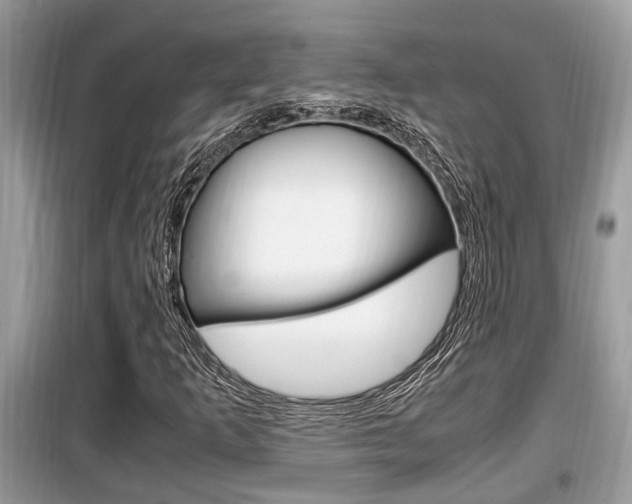 X0000099931253200805230952