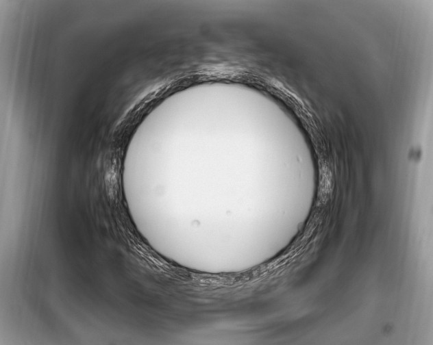 X0000099931254200805230952