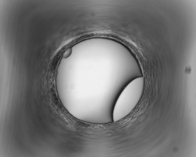 X0000099931255200805230952