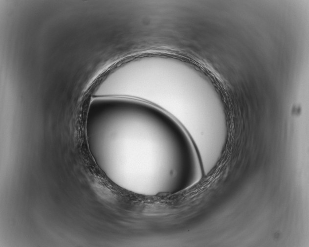 X0000099931256200805230952