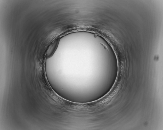 X0000099931257200805230952