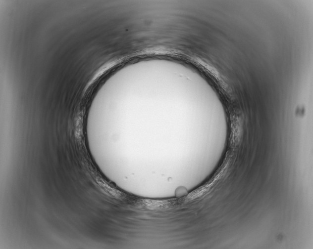 X0000099931258200805230952