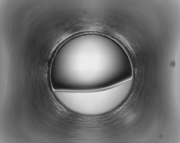 X0000099931260200805230952