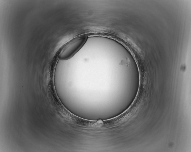 X0000099931261200805230952