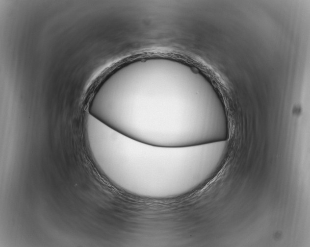 X0000099931262200805230952
