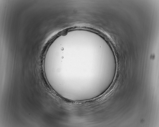 X0000099931263200805230952