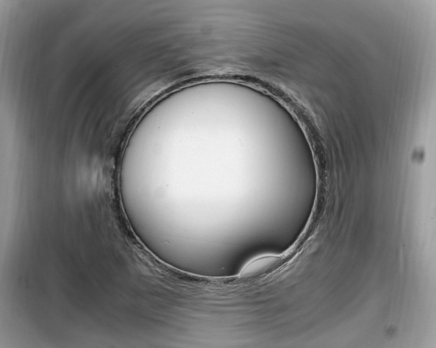 X0000099931265200805230952