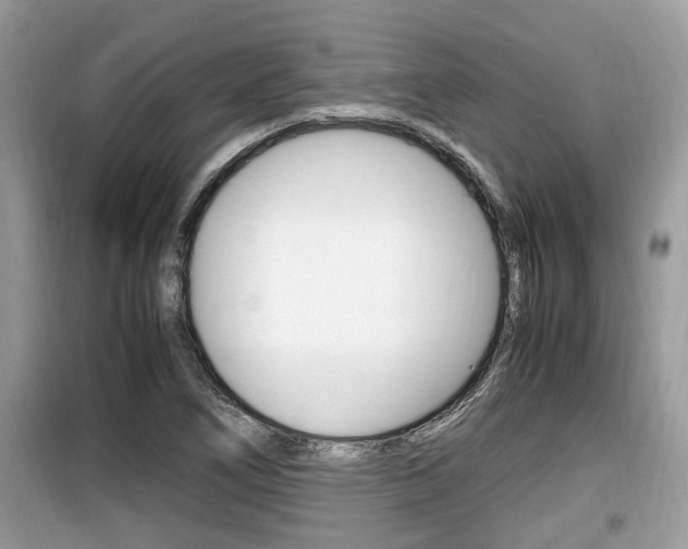 X0000099931266200805230952