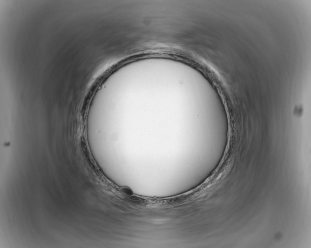 X0000099931267200805230952