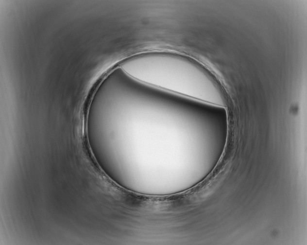X0000099931269200805230952