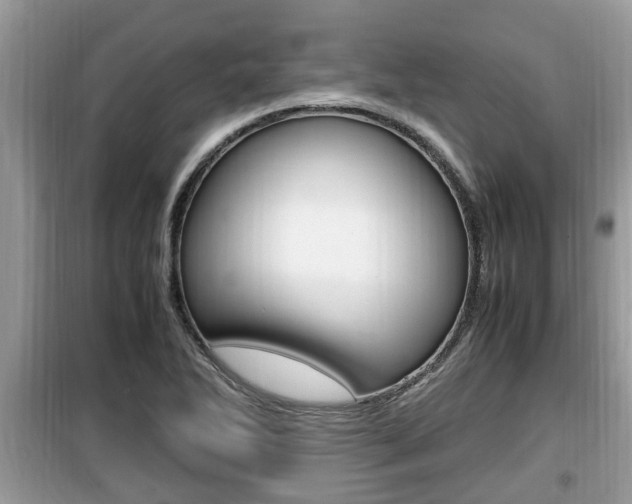 X0000099931270200805230952