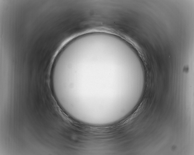X0000099931272200805230952