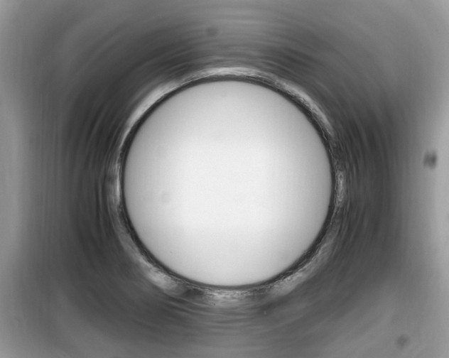 X0000099931274200805230952