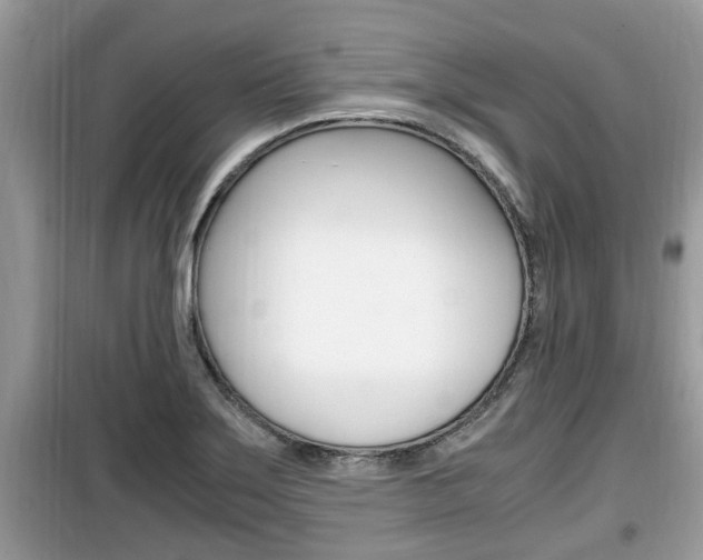 X0000099931275200805230952