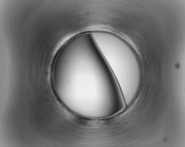 X0000099931277200805230952