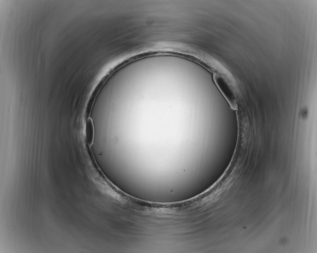 X0000099931280200805230952