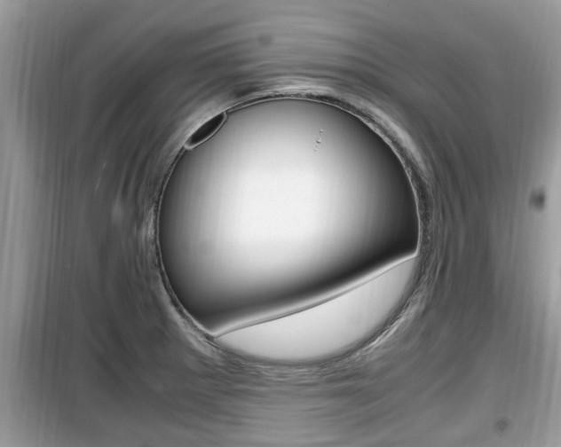X0000099931281200805230952