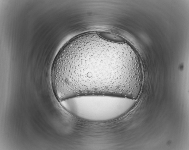 X0000099931283200805230951