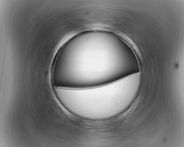 X0000099931285200805230951