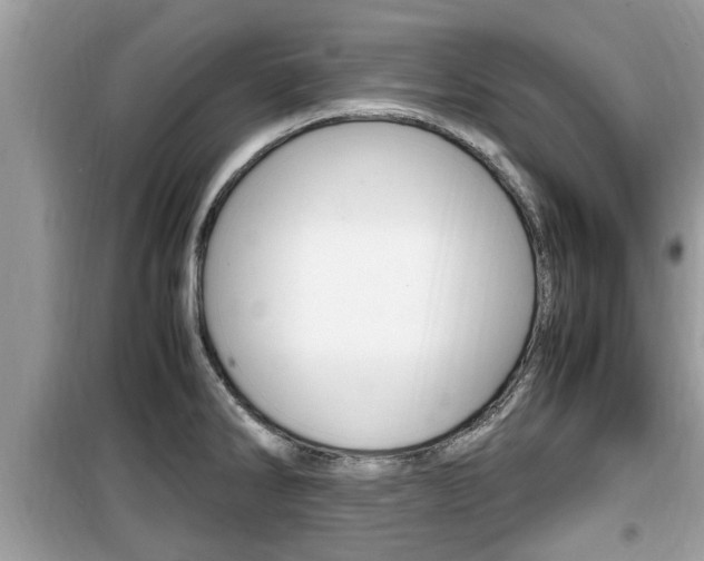 X0000099931286200805230951