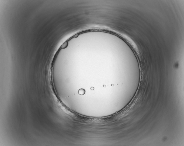 X0000099931287200805230951