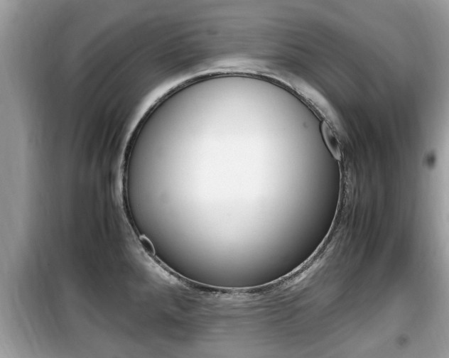 X0000099931288200805230951