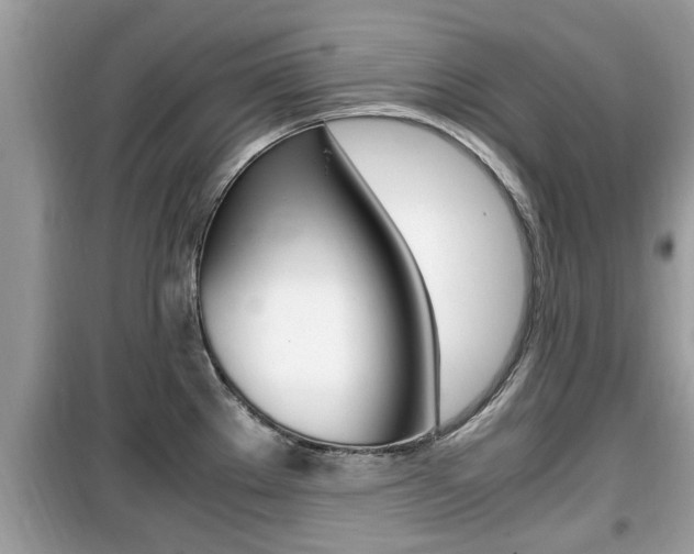 X0000099931289200805230951