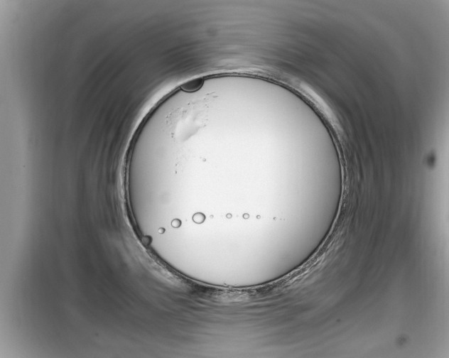 X0000099931291200805230951