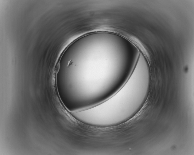 X0000099931292200805230951