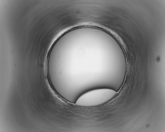 X0000099931295200805230951