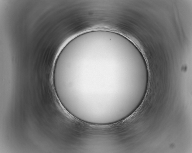 X0000099931296200805230951