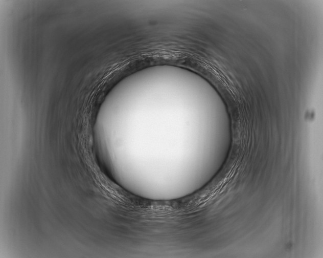 X0000099931297200805230951