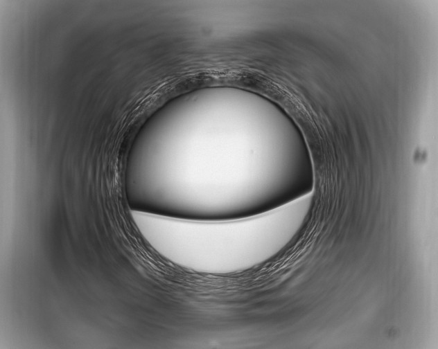 X0000099931298200805230951