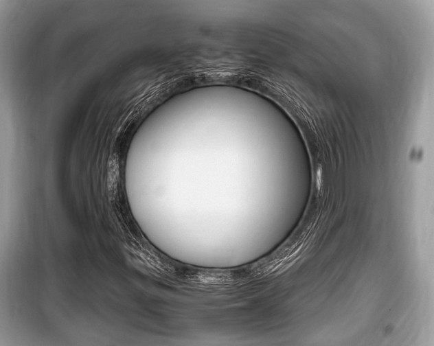 X0000099931299200805230951