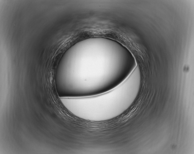 X0000099931300200805230951