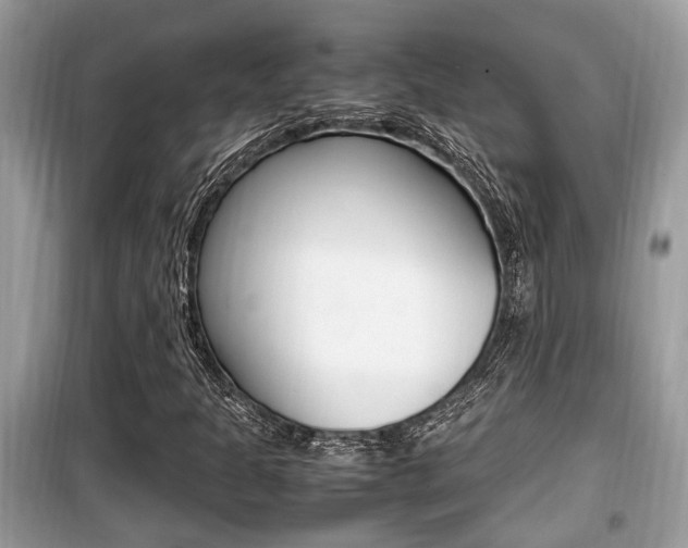 X0000099931301200805230951